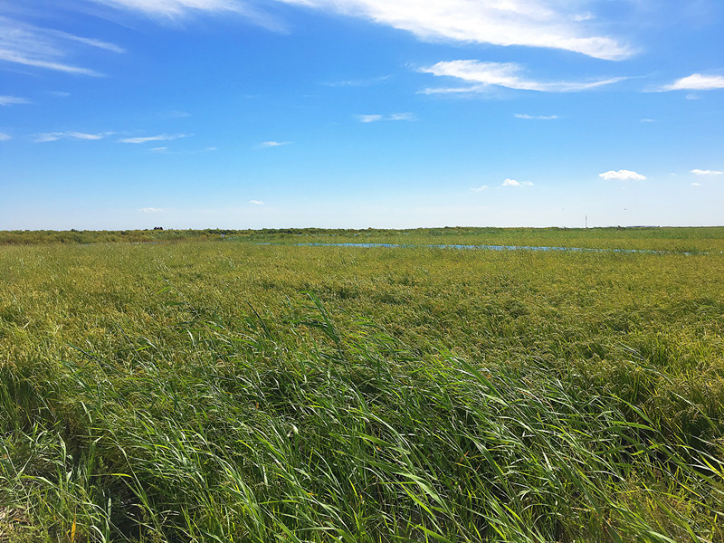 盘锦辽东湾农垦集团有限公司