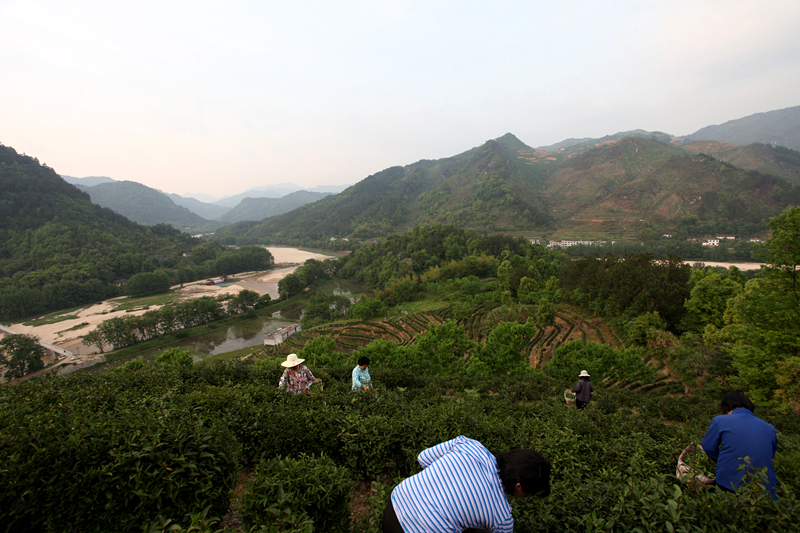安徽省景湖农业股份有限公司